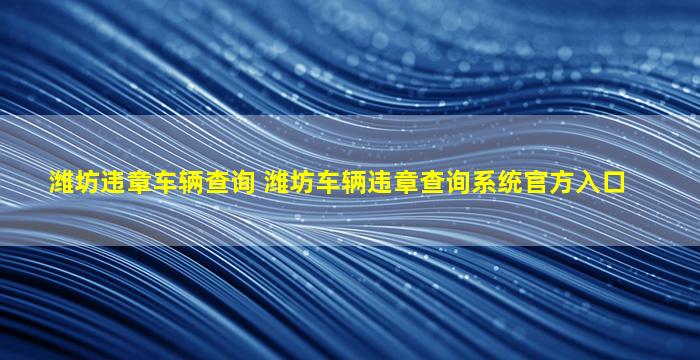 潍坊违章车辆查询 潍坊车辆违章查询系统官方入口